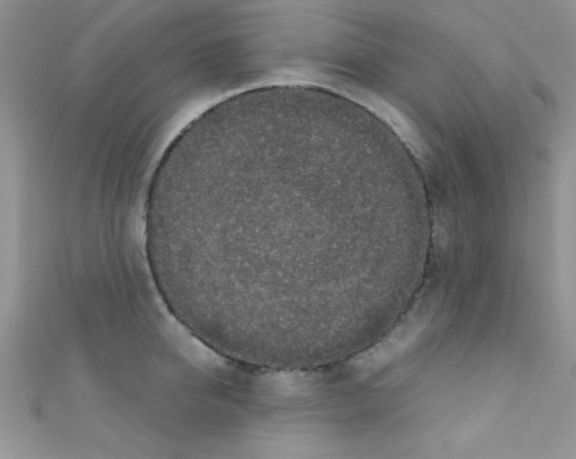 X0000110730950200907241225