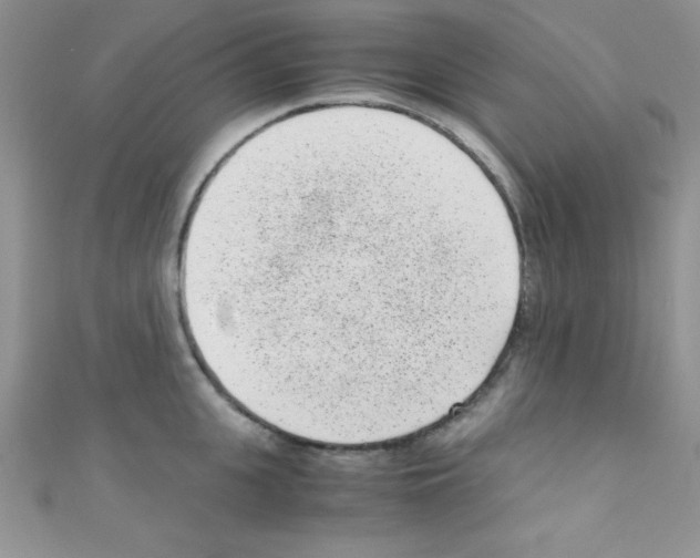 X0000110730951200907241225
