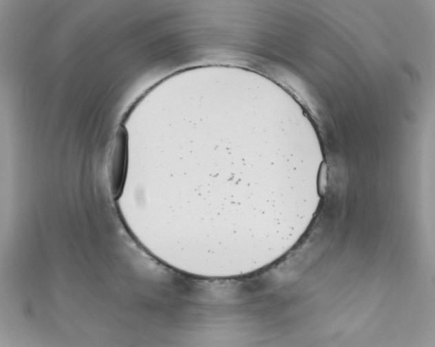 X0000110730952200907241225