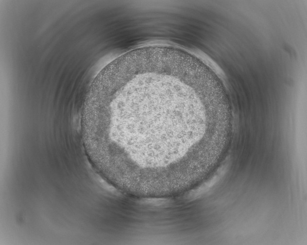 X0000110730953200907241225