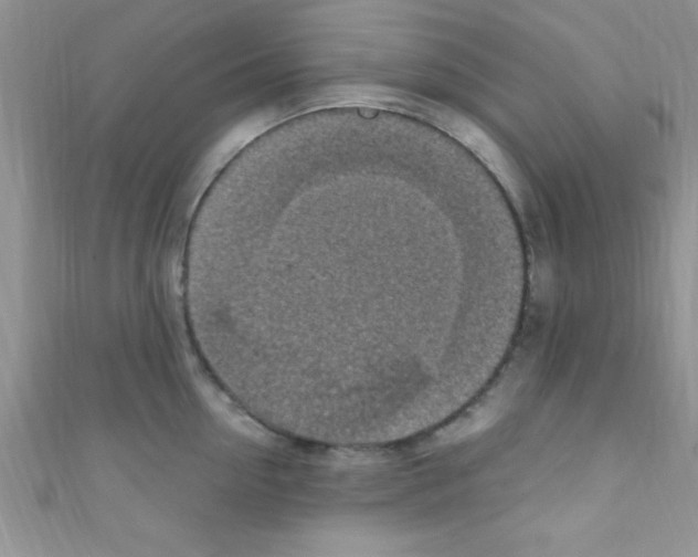 X0000110730954200907241225