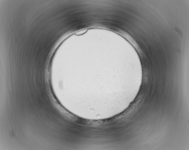 X0000110730955200907241225