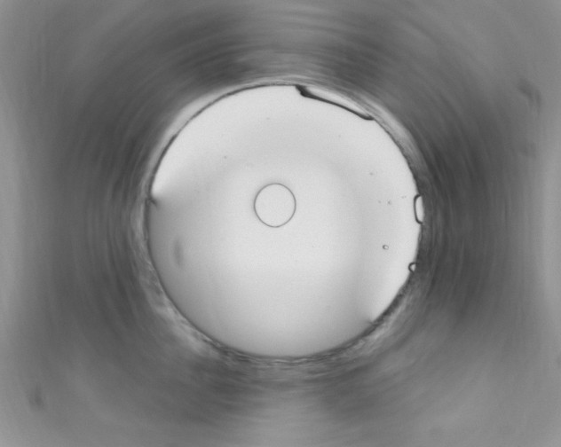 X0000110730956200907241225