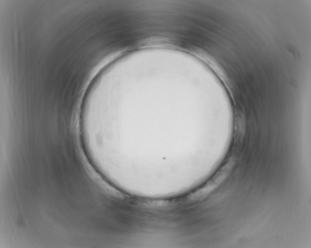 X0000110730957200907241225