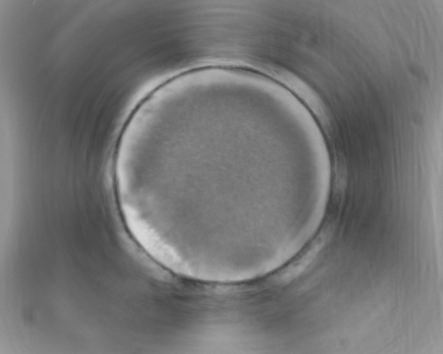 X0000110730958200907241225