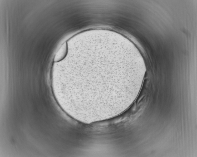 X0000110730959200907241225