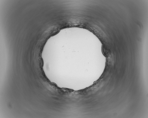 X0000110730961200907241224