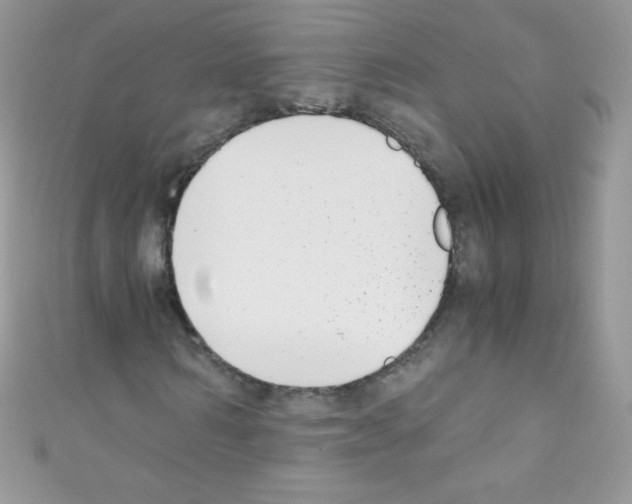 X0000110730962200907241224