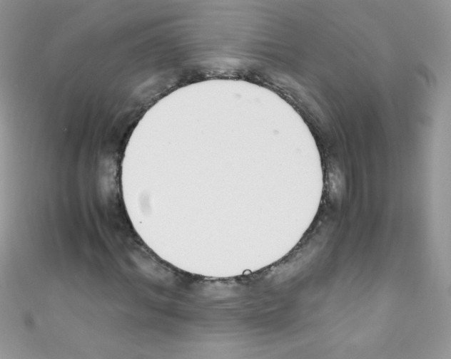 X0000110730964200907241224