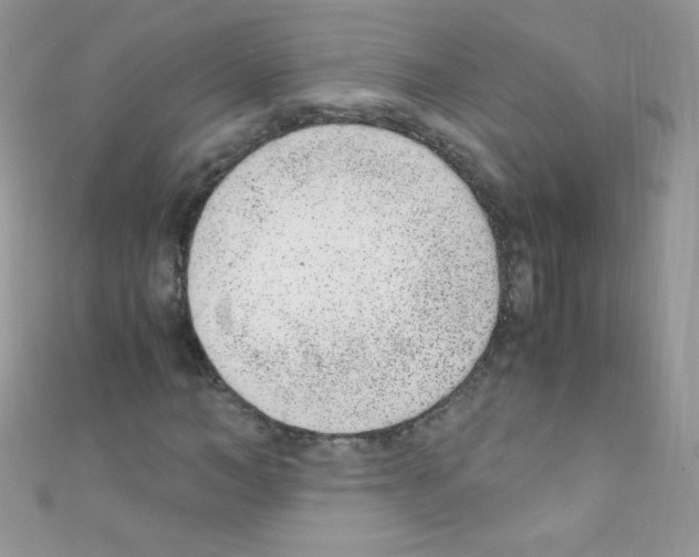 X0000110730966200907241224