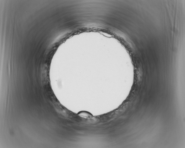 X0000110730968200907241224