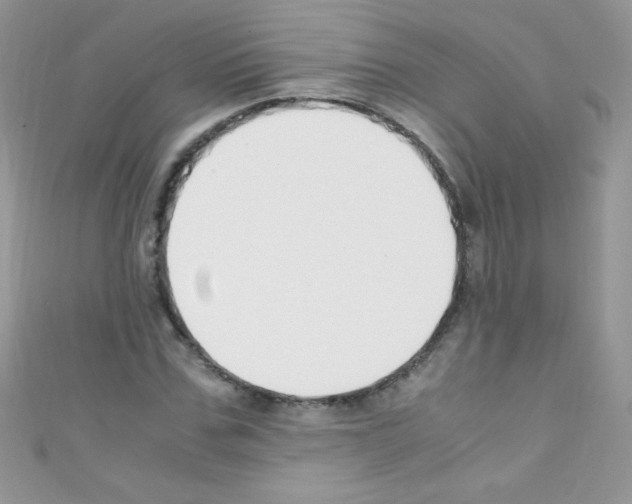 X0000110730971200907241224