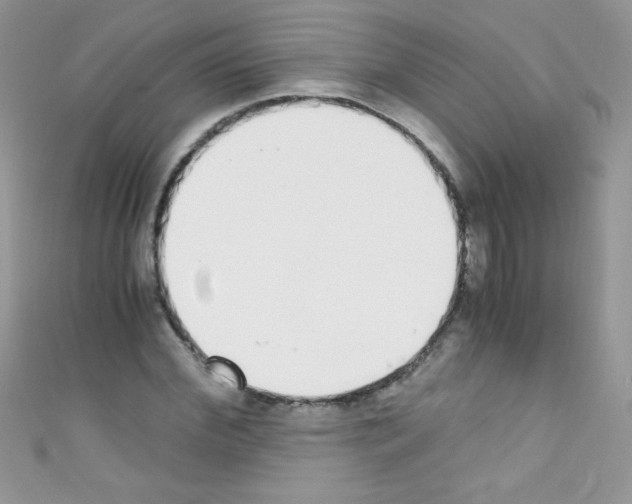 X0000110730972200907241224