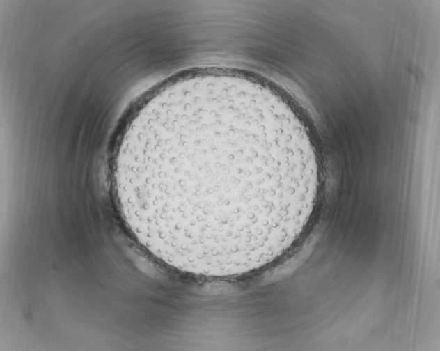 X0000110730974200907241224