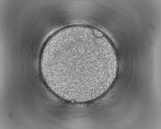 X0000110730975200907241224