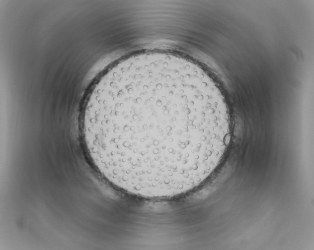 X0000110730978200907241224