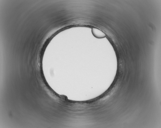 X0000110730981200907241224