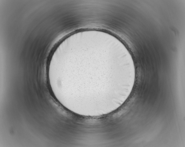 X0000110730982200907241224