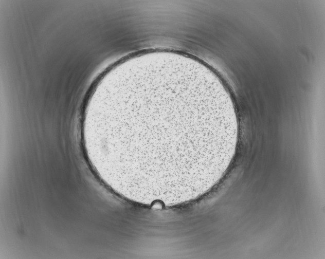 X0000110730983200907241224