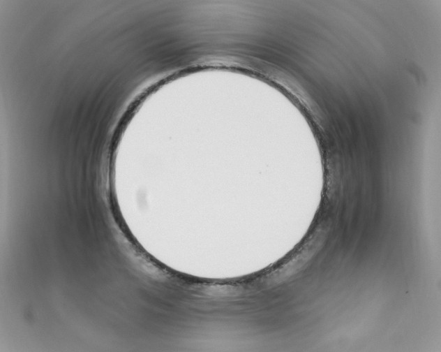 X0000110730984200907241224