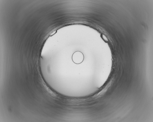 X0000110730985200907241224