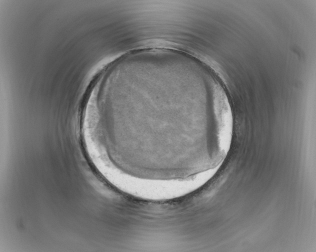 X0000110730987200907241224