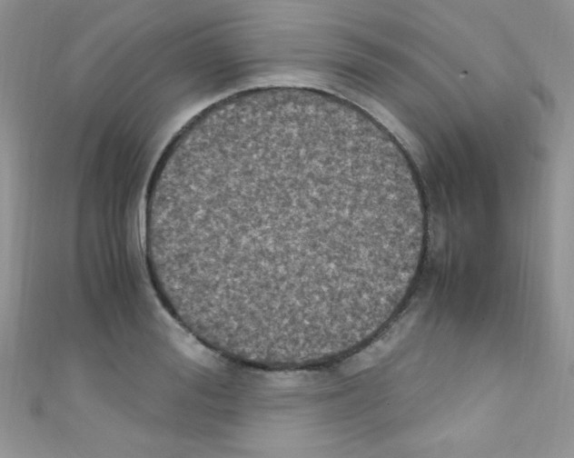 X0000110730988200907241224
