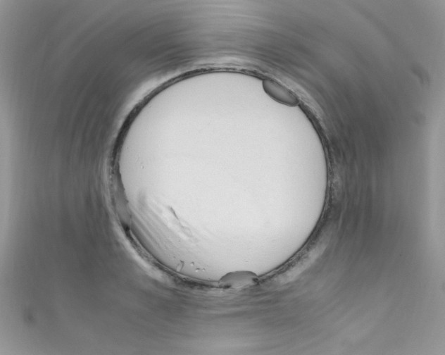 X0000110730989200907241224