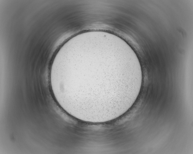 X0000110730990200907241224