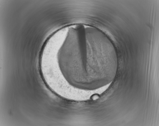 X0000110730991200907241224