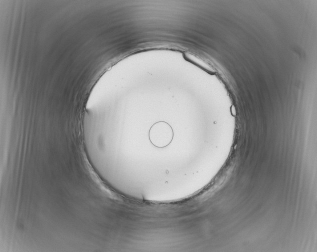 X0000110730993200907241224