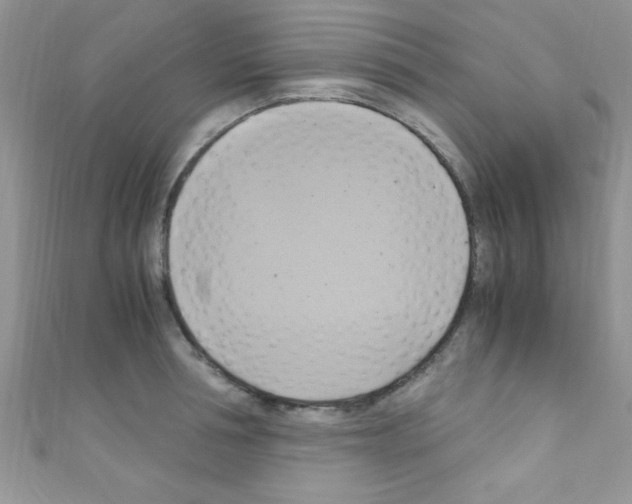 X0000110730994200907241224
