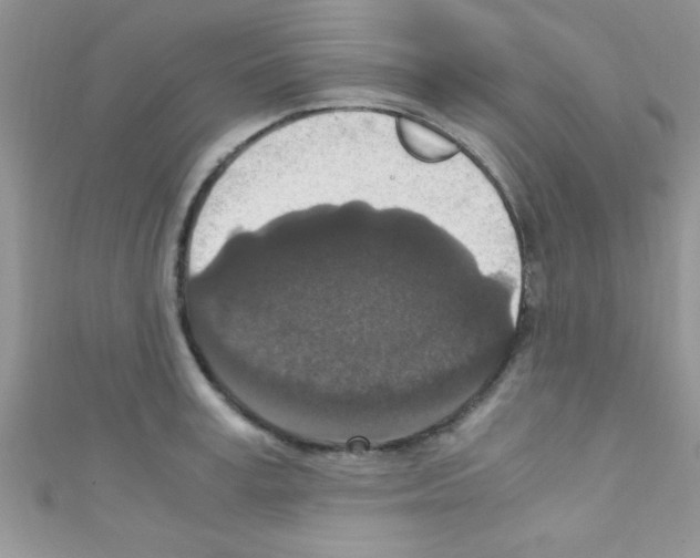 X0000110730995200907241224