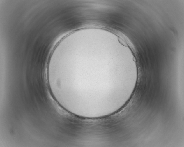 X0000110730996200907241224