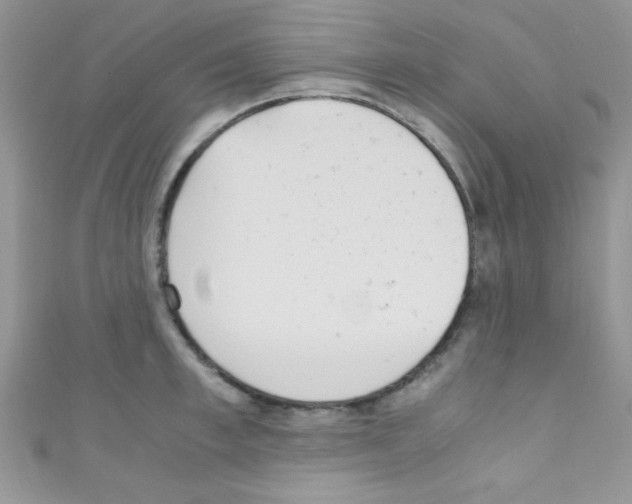 X0000110730997200907241224