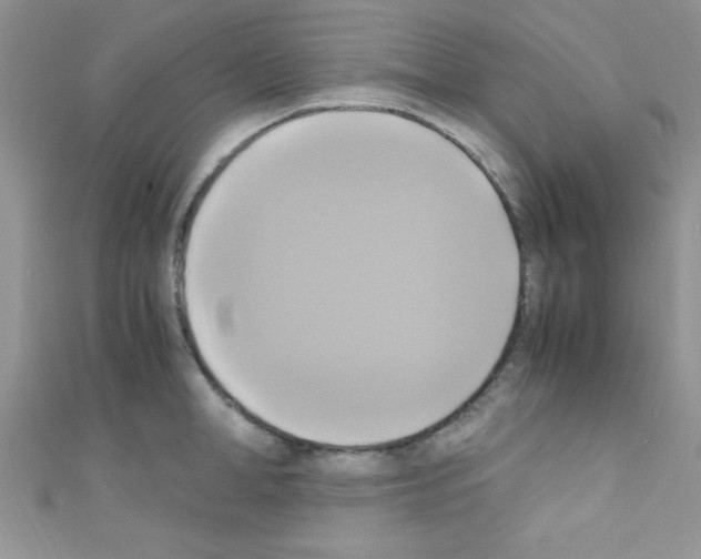 X0000110730998200907241224