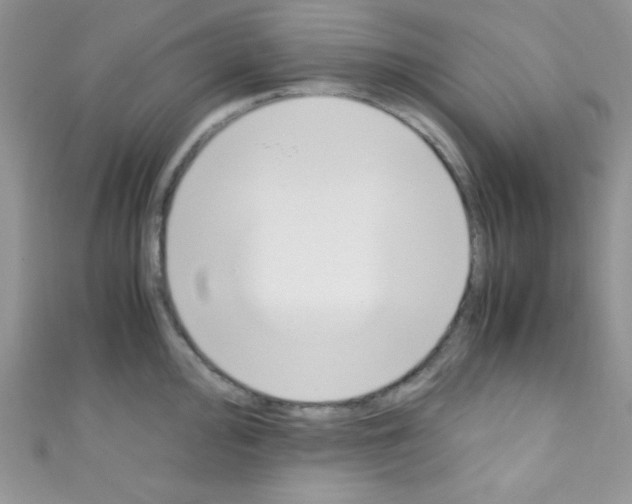 X0000110731000200907241224