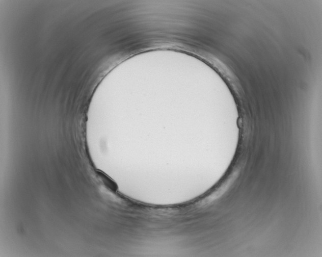 X0000110731001200907241224