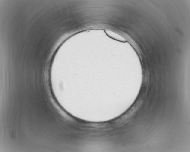 X0000110731005200907241223