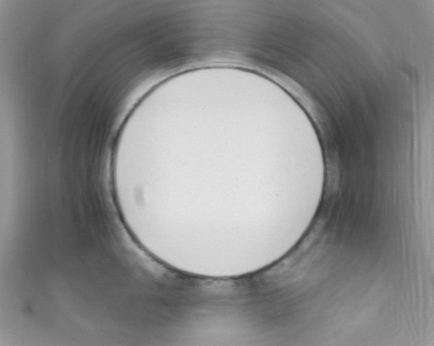 X0000110731006200907241223