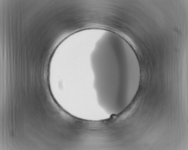 X0000110731007200907241223