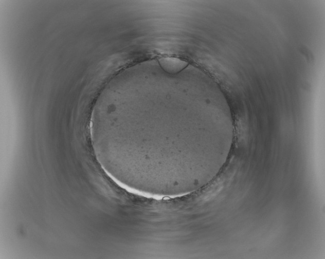 X0000110731009200907241223