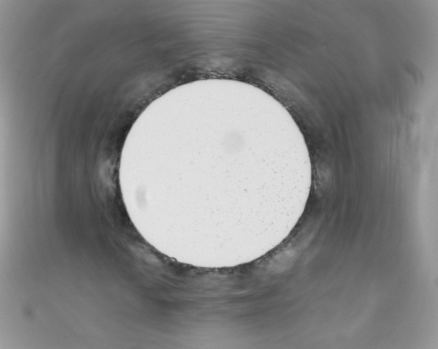 X0000110731010200907241223