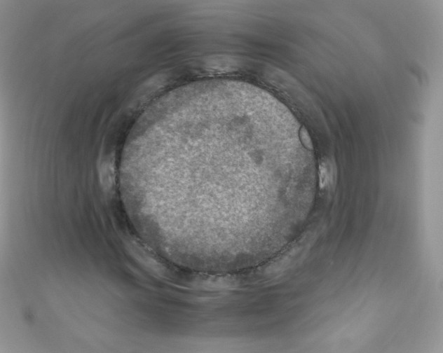 X0000110731011200907241223