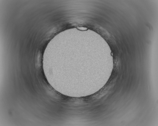 X0000110731012200907241223