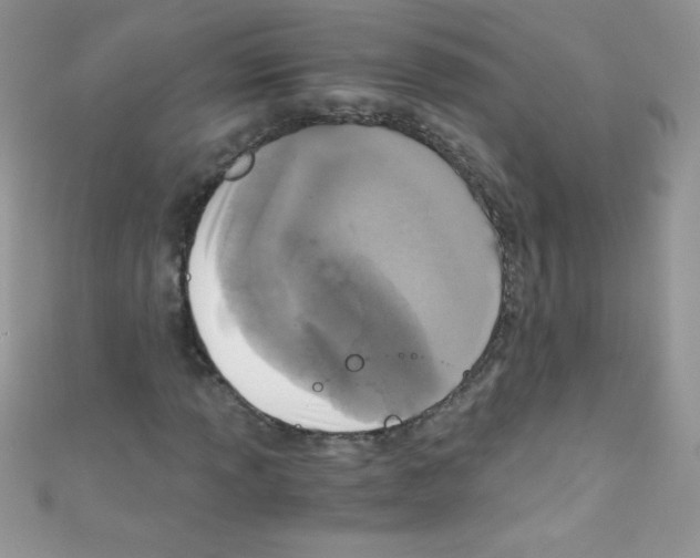 X0000110731013200907241223