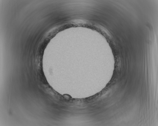 X0000110731016200907241223