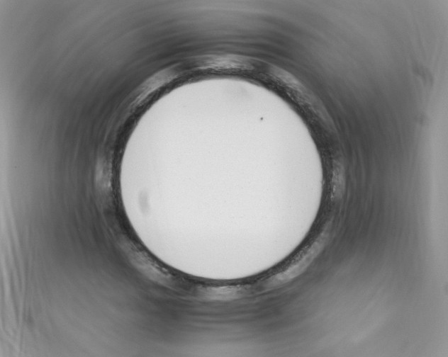 X0000110731017200907241223