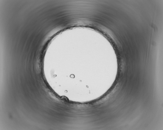 X0000110731018200907241223