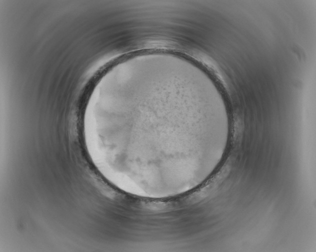 X0000110731019200907241223